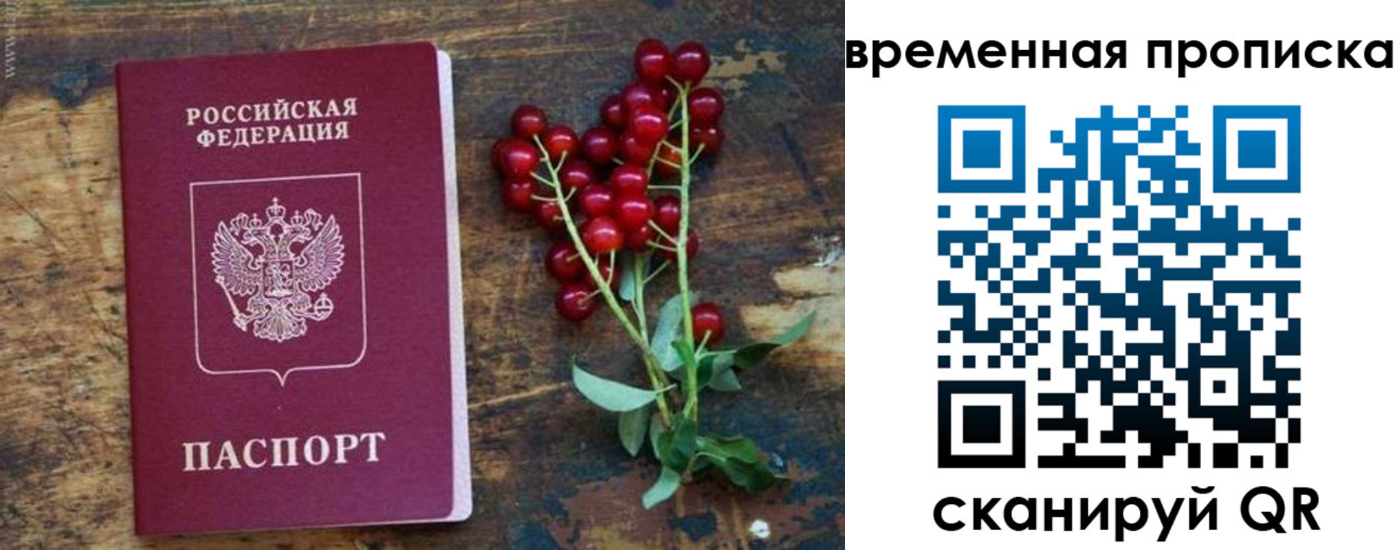 временная регистрация гарантия в Лузе